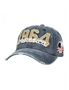 1964 America  Lippis 2