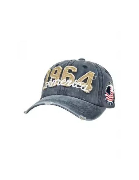 1964 America  Lippis