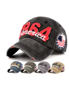 1964 America  Lippis