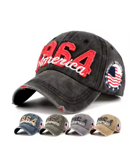 1964 America  Lippis